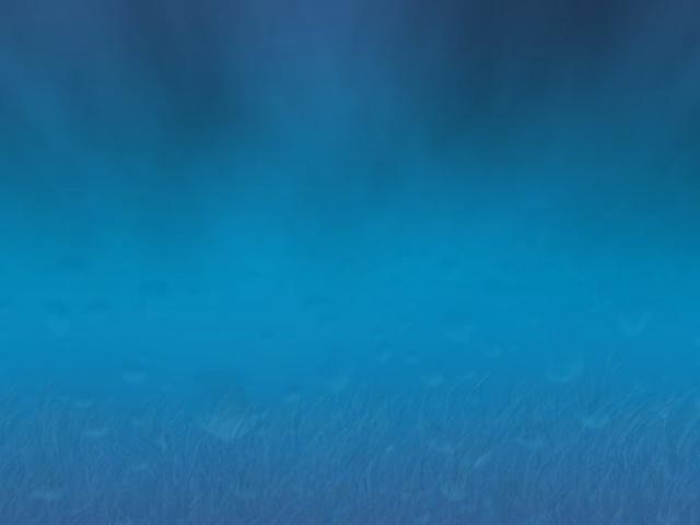 background.jpg